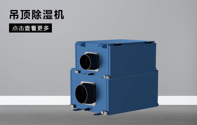 脾虛，濕氣重如何調理？