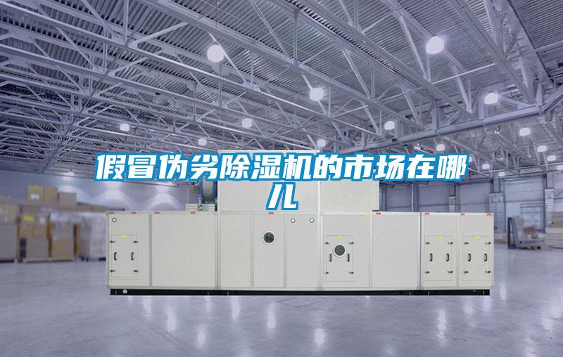 假冒偽劣除濕機(jī)的市場在哪兒