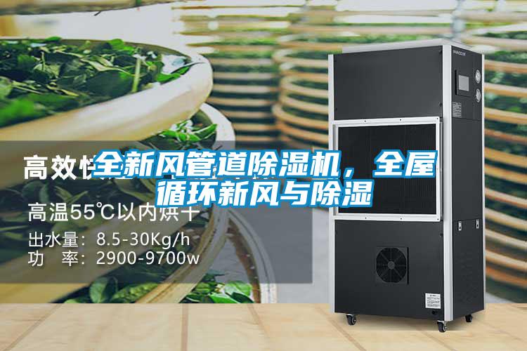 全新風(fēng)管道除濕機，全屋循環(huán)新風(fēng)與除濕