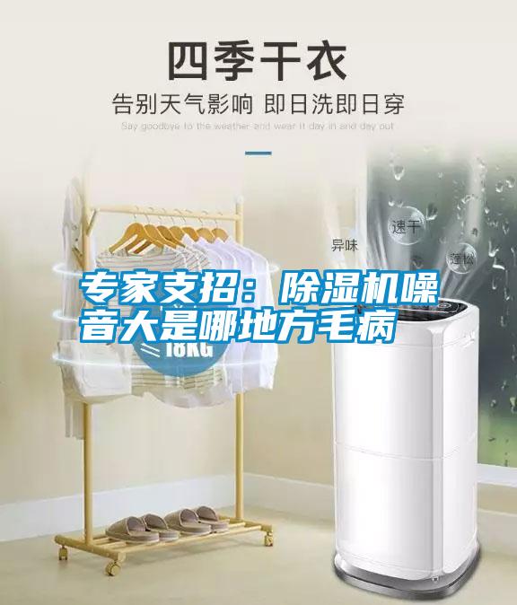 專(zhuān)家支招:除濕機噪音大是哪地方毛病
