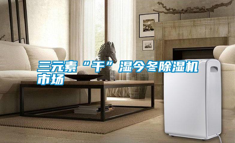 三元素“干”濕今冬除濕機市場(chǎng)