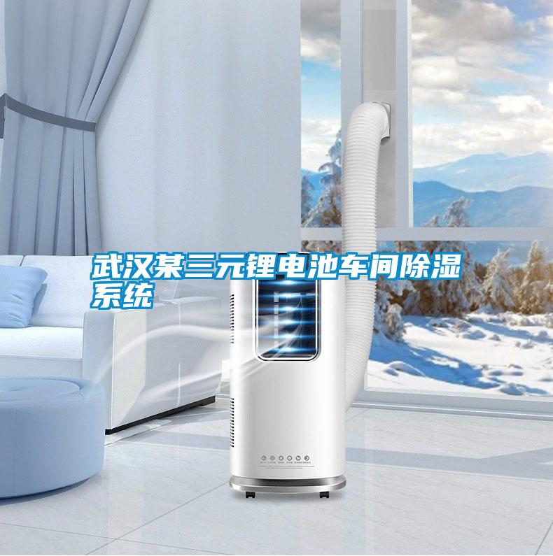 武漢某三元鋰電池車(chē)間除濕系統