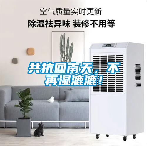 共抗回南天，不再濕漉漉！