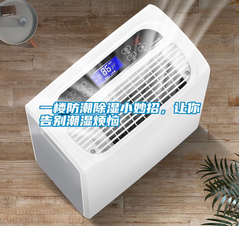一樓防潮除濕小妙招，讓你告別潮濕煩惱