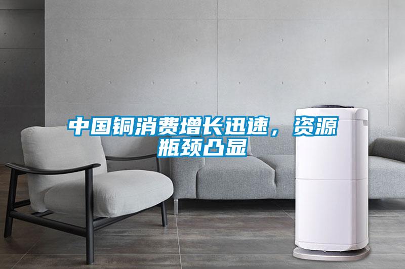 中國銅消費增長迅速，資源瓶頸凸顯