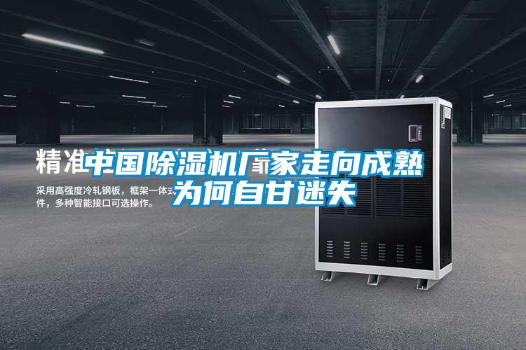 中國除濕機廠(chǎng)家走向成熟 為何自甘迷失