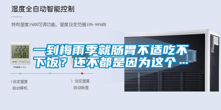 一到梅雨季就腸胃不適吃不下飯？還不都是因為這個(gè)…