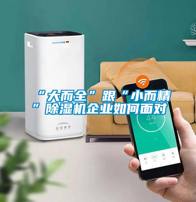 “大而全”跟“小而精”除濕機企業(yè)如何面對
