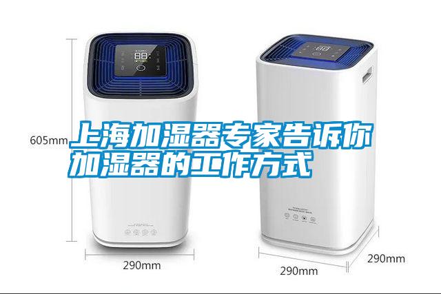 上海加濕器專(zhuān)家告訴你加濕器的工作方式