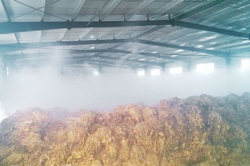 提升煙葉加工質(zhì)量，高效回潮很重要