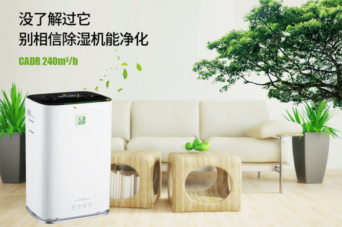 一到回南天狗狗就感冒+皮膚病，怎么辦？
