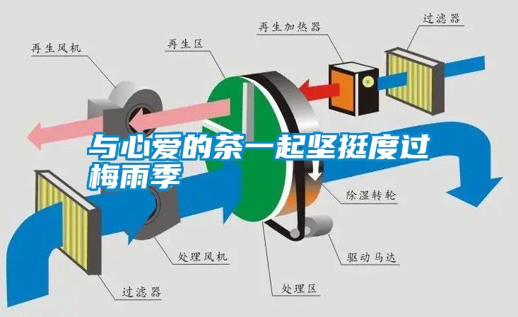 與心愛(ài)的茶一起堅挺度過(guò)梅雨季