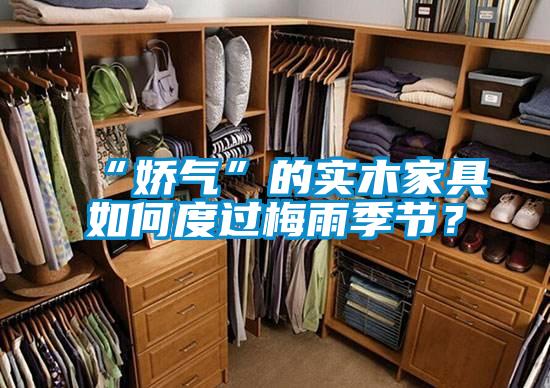 “嬌氣”的實(shí)木家具如何度過(guò)梅雨季節？