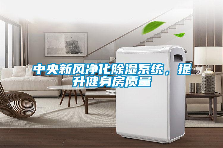 中央新風(fēng)凈化除濕系統，提升健身房質(zhì)量