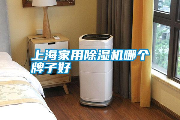 上海家用除濕機哪個(gè)牌子好