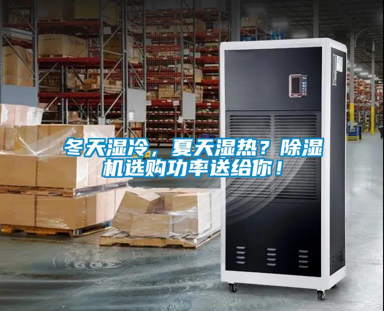 冬天濕冷，夏天濕熱？除濕機選購功率送給你！