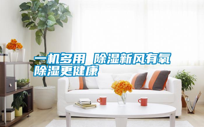 一機(jī)多用 除濕新風(fēng)有氧除濕更健康