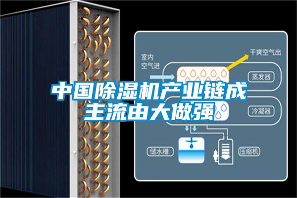 中國除濕機產(chǎn)業(yè)鏈成主流由大做強
