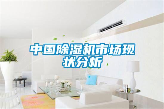 中國除濕機市場(chǎng)現狀分析