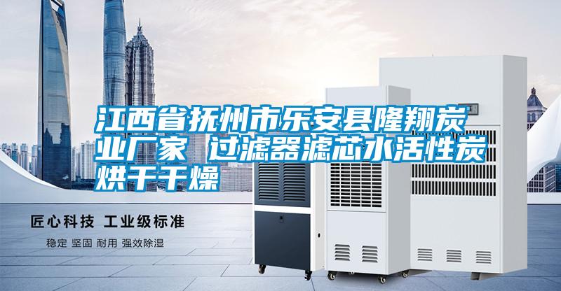 江西省撫州市樂(lè )安縣隆翔炭業(yè)廠(chǎng)家 過(guò)濾器濾芯水活性炭烘干干燥