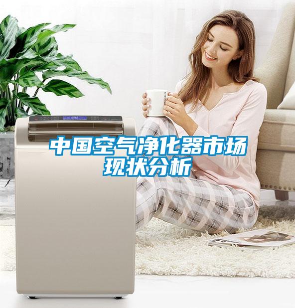 中國空氣凈化器市場(chǎng)現狀分析