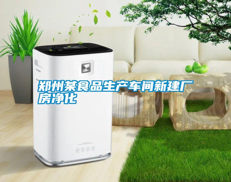 鄭州某食品生產(chǎn)車(chē)間新建廠(chǎng)房?jì)艋?/></p>
<p style=