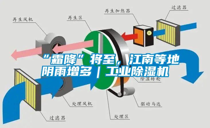“霜降”將至，江南等地陰雨增多｜工業(yè)除濕機