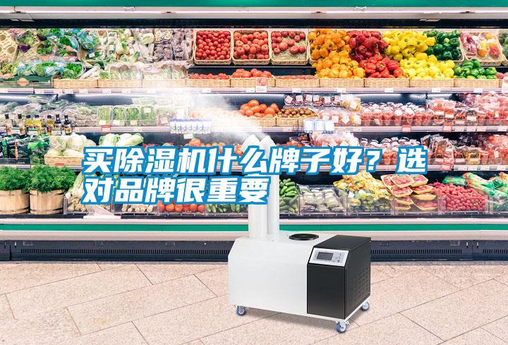買(mǎi)除濕機什么牌子好？選對品牌很重要