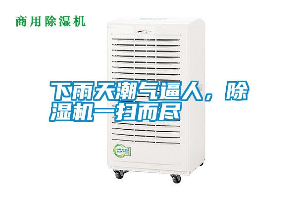 下雨天潮氣逼人，除濕機一掃而盡