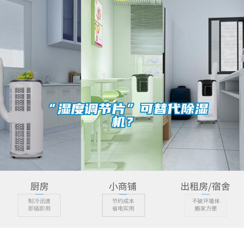 “濕度調節片”可替代除濕機？
