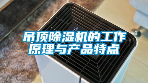 吊頂除濕機的工作原理與產(chǎn)品特點(diǎn)