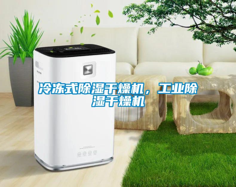 冷凍式除濕干燥機，工業(yè)除濕干燥機