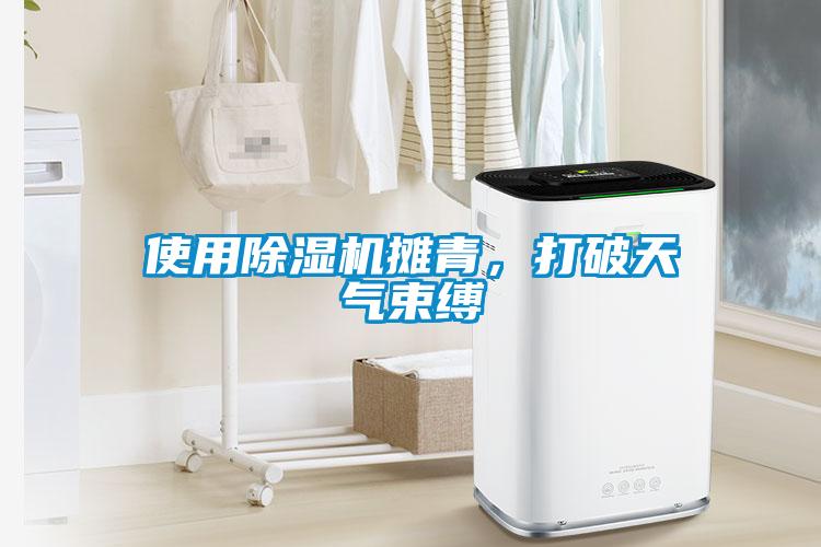 使用除濕機攤青，打破天氣束縛