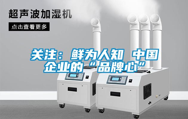 關(guān)注：鮮為人知 中國(guó)企業(yè)的“品牌心”