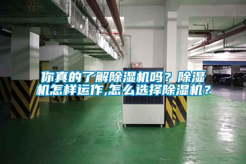 你真的了解除濕機嗎？除濕機怎樣運作,怎么選擇除濕機？