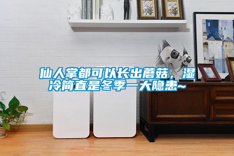 仙人掌都可以長(cháng)出蘑菇，濕冷簡(jiǎn)直是冬季一大隱患~