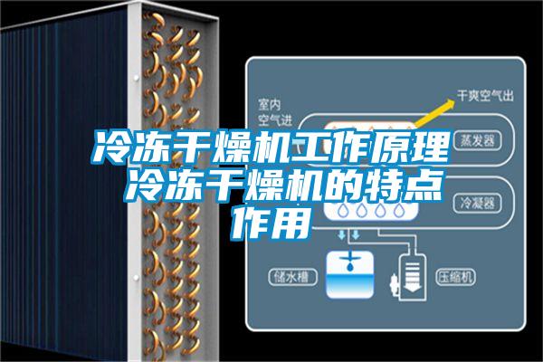 冷凍干燥機(jī)工作原理 冷凍干燥機(jī)的特點作用
