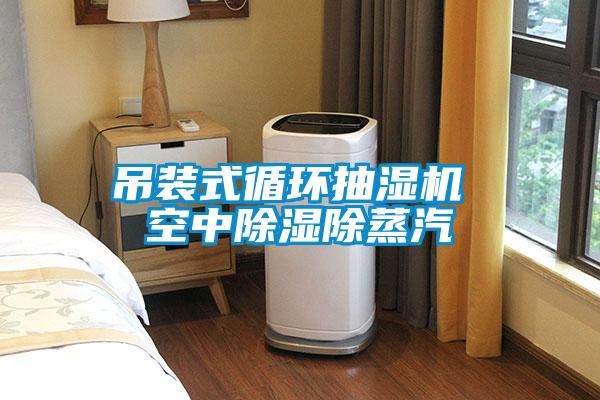 吊裝式循環(huán)抽濕機(jī) 空中除濕除蒸汽
