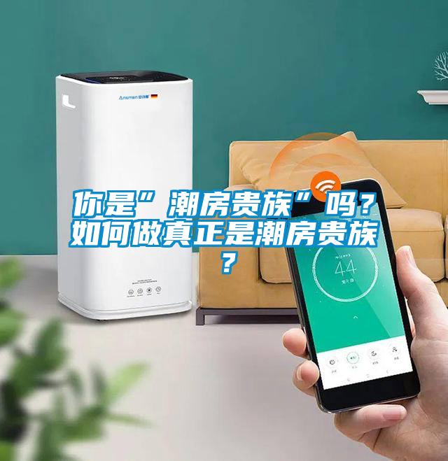 你是”潮房貴族”嗎？如何做真正是潮房貴族？
