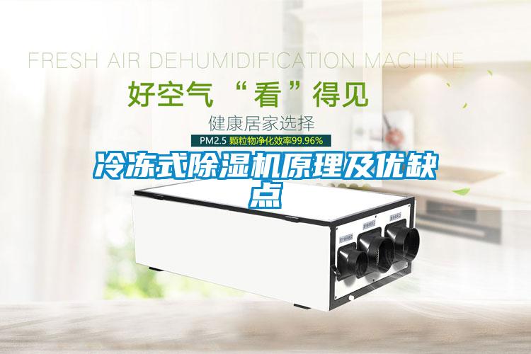 冷凍式除濕機原理及優(yōu)缺點(diǎn)