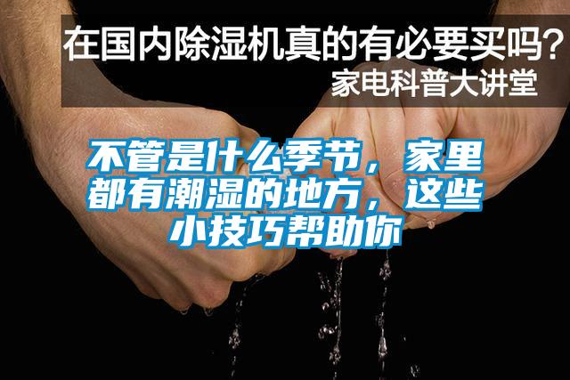 不管是什么季節(jié)，家里都有潮濕的地方，這些小技巧幫助你