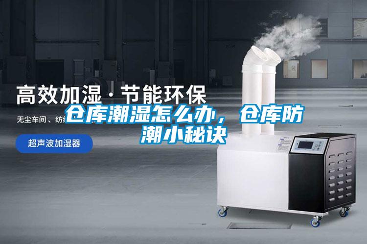 倉(cāng)庫(kù)潮濕怎么辦，倉(cāng)庫(kù)防潮小秘訣