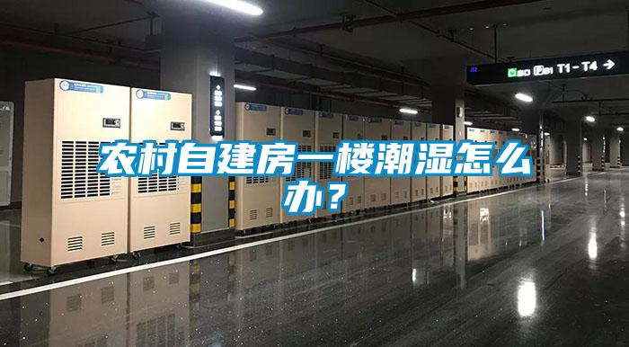 農(nóng)村自建房一樓潮濕怎么辦？