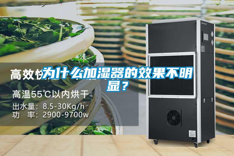 為什么加濕器的效果不明顯？