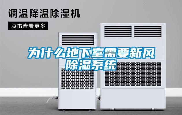 為什么地下室需要新風(fēng)除濕系統