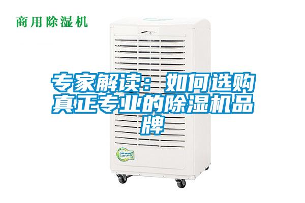 專(zhuān)家解讀：如何選購真正專(zhuān)業(yè)的除濕機品牌