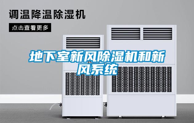 地下室新風(fēng)除濕機和新風(fēng)系統