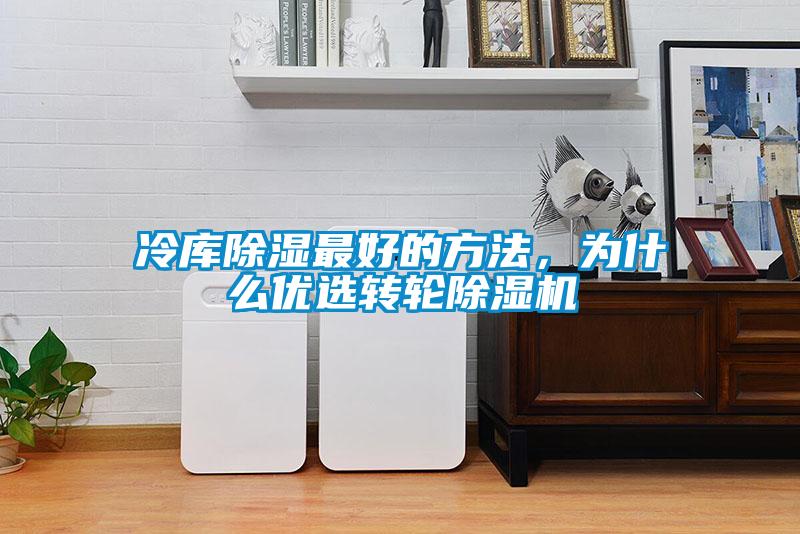 冷庫除濕最好的方法，為什么優(yōu)選轉輪除濕機