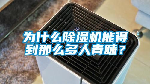為什么除濕機能得到那么多人青睞？