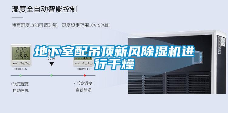 地下室配吊頂新風(fēng)除濕機進行干燥